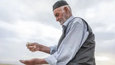 خرید تضمینی گندم، تمهید دولت برای تامین امنیت غذایی