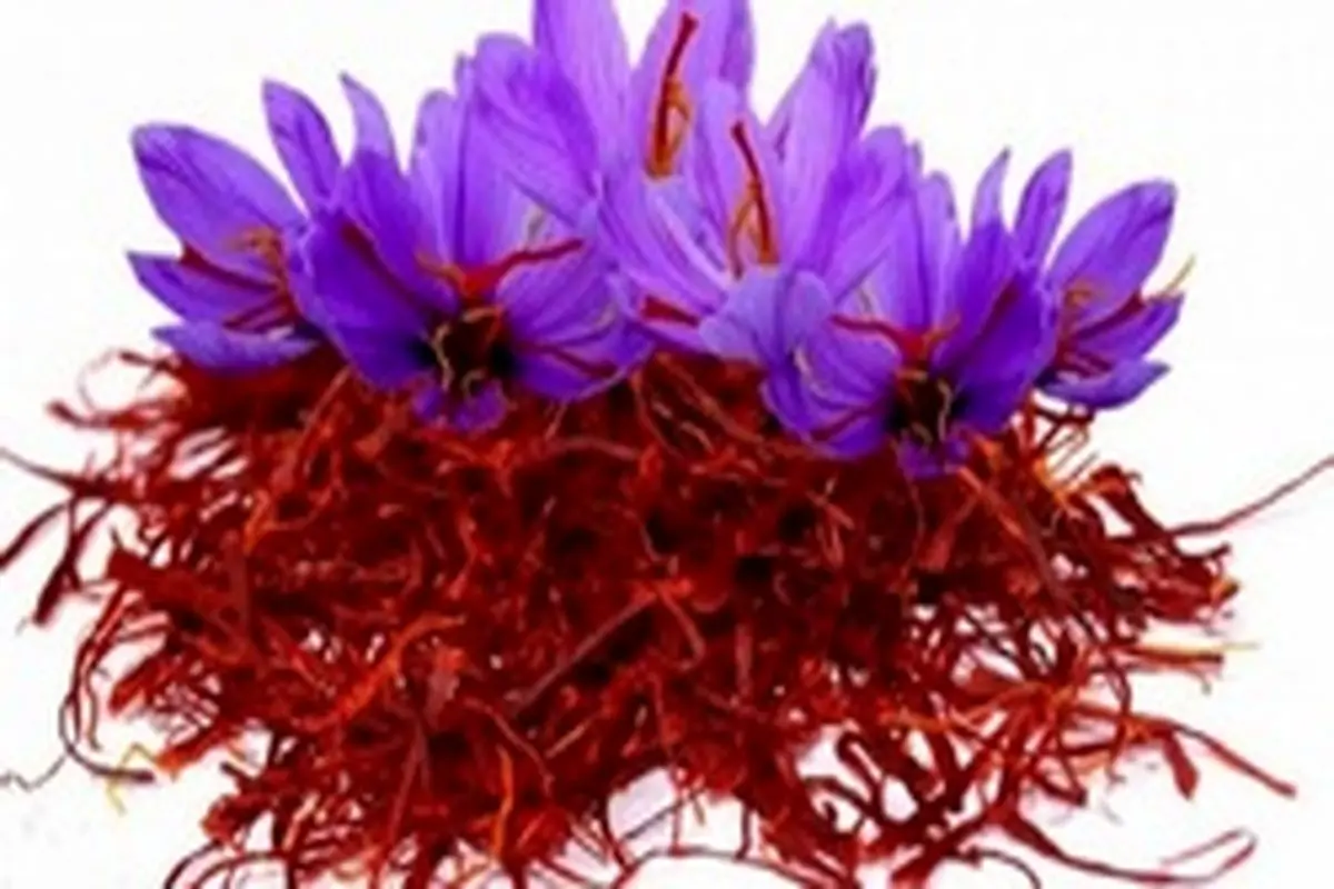 قیمت خرید زعفران چقدر است؟