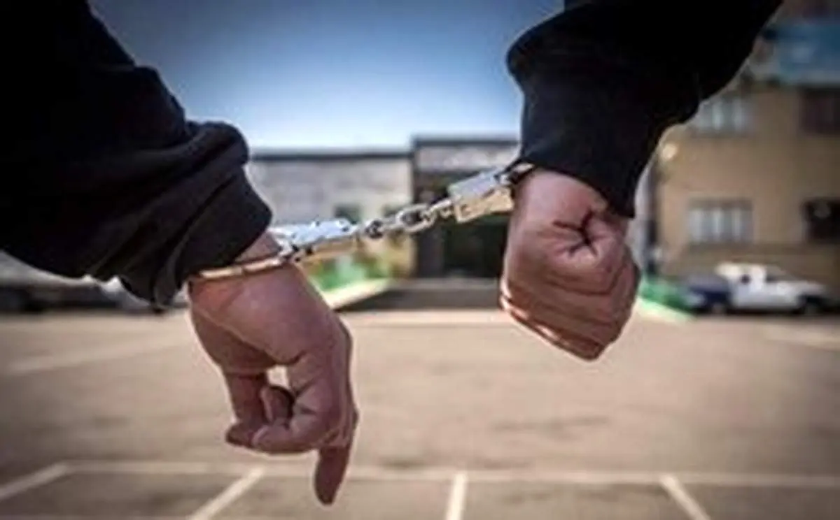 دستگیری سارقان ۱۳۰ هزار دلاری صرافی پایتخت