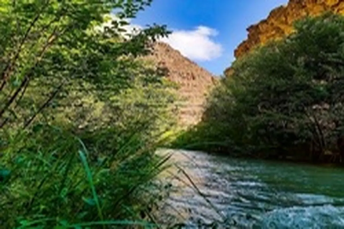 تصاویری از نقاشی زیبای طبیعت در دره قلجق شیروان