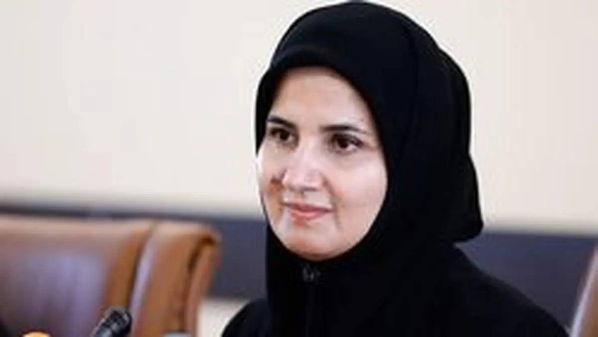 جنیدی: ایجاد مزاحمت برای هواپیمای مسافربری ماهان قابلیت تعقیب حقوقی به دنبال دارد