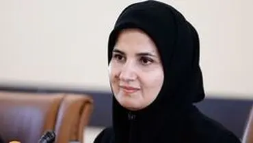 جنیدی: ایجاد مزاحمت برای هواپیمای مسافربری ماهان قابلیت تعقیب حقوقی به دنبال دارد
