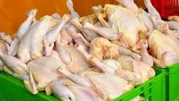 قیمت مرغ به هر کیلو ۱۷ هزار و ۵۰۰ تومان رسید/نیازی به عرضه مرغ منجمد نیست