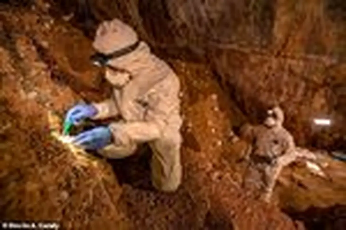 اولین مدارک برای اثبات وجود انسان در قاره آمریکا در ۲۷ هزار سال پیش
