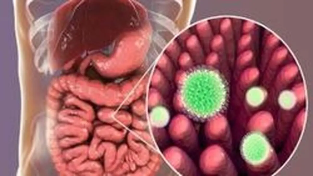کرونا در چه صورتی «مرگبار» عمل می‌کند؟