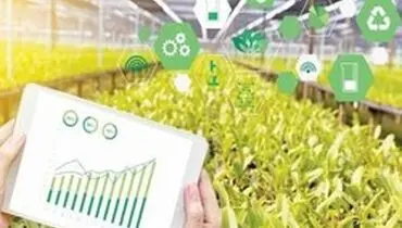 جزئیات آمار تجارت خارجی بخش کشاورزی در بهار ۹۹