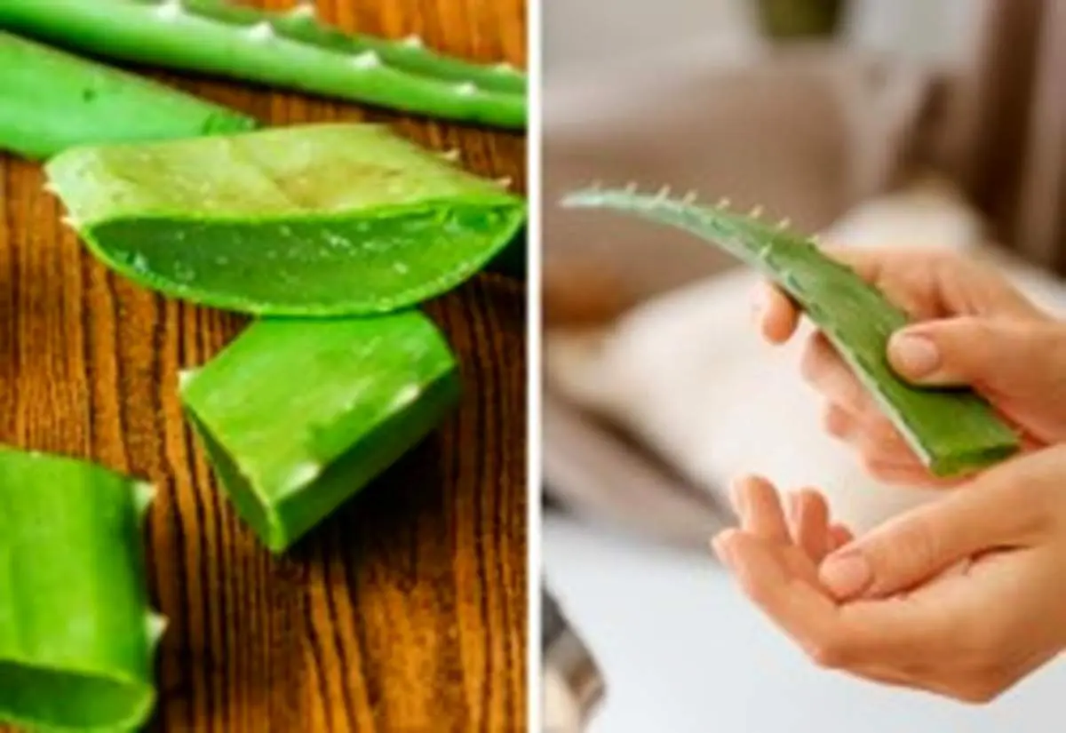 ۱۰ ماده طبیعی برای بهبود انواع زخم