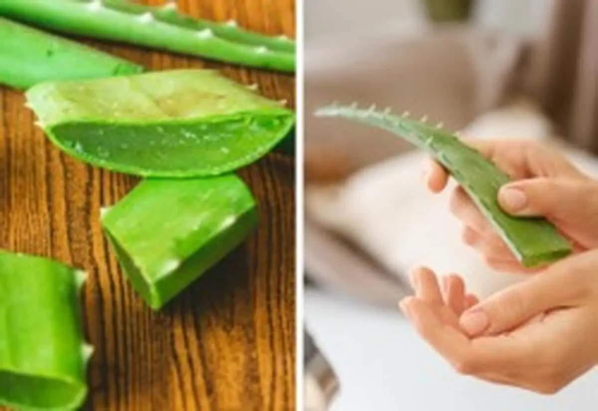۱۰ ماده طبیعی برای بهبود انواع زخم