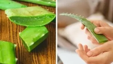 ۱۰ ماده طبیعی برای بهبود انواع زخم