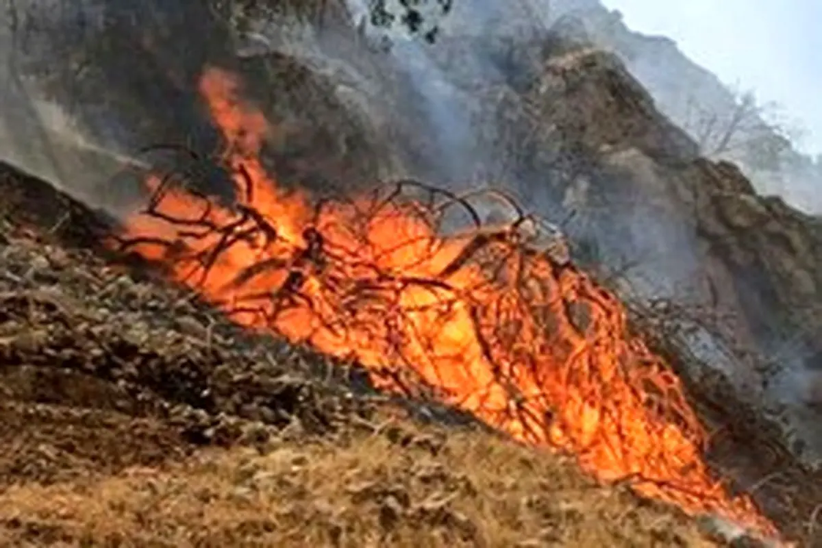 آتش‌سوزی گسترده در ارتفاعات مهارلو ؛ ۱۰ هزار هکتار طعمه حریق شد