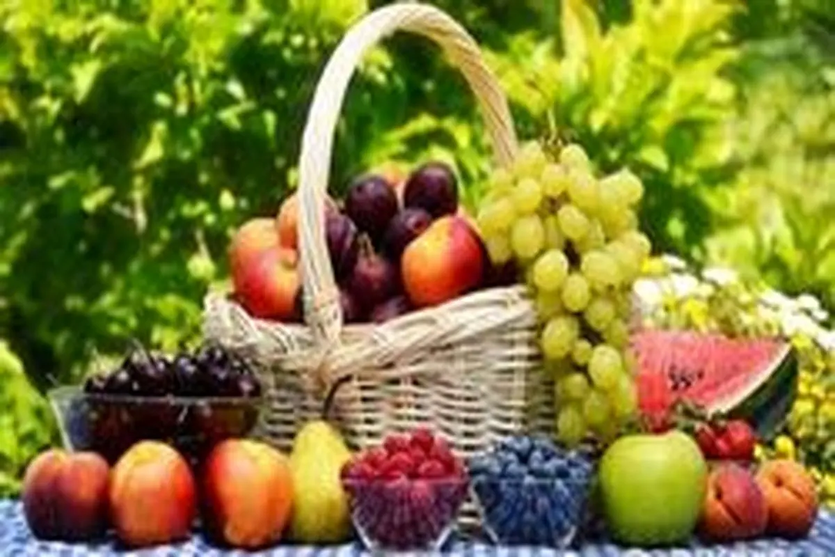 قیمت عمده انواع میوه در بازار امروز دوشنبه ۳۰ تیر ۹۹+ جدول