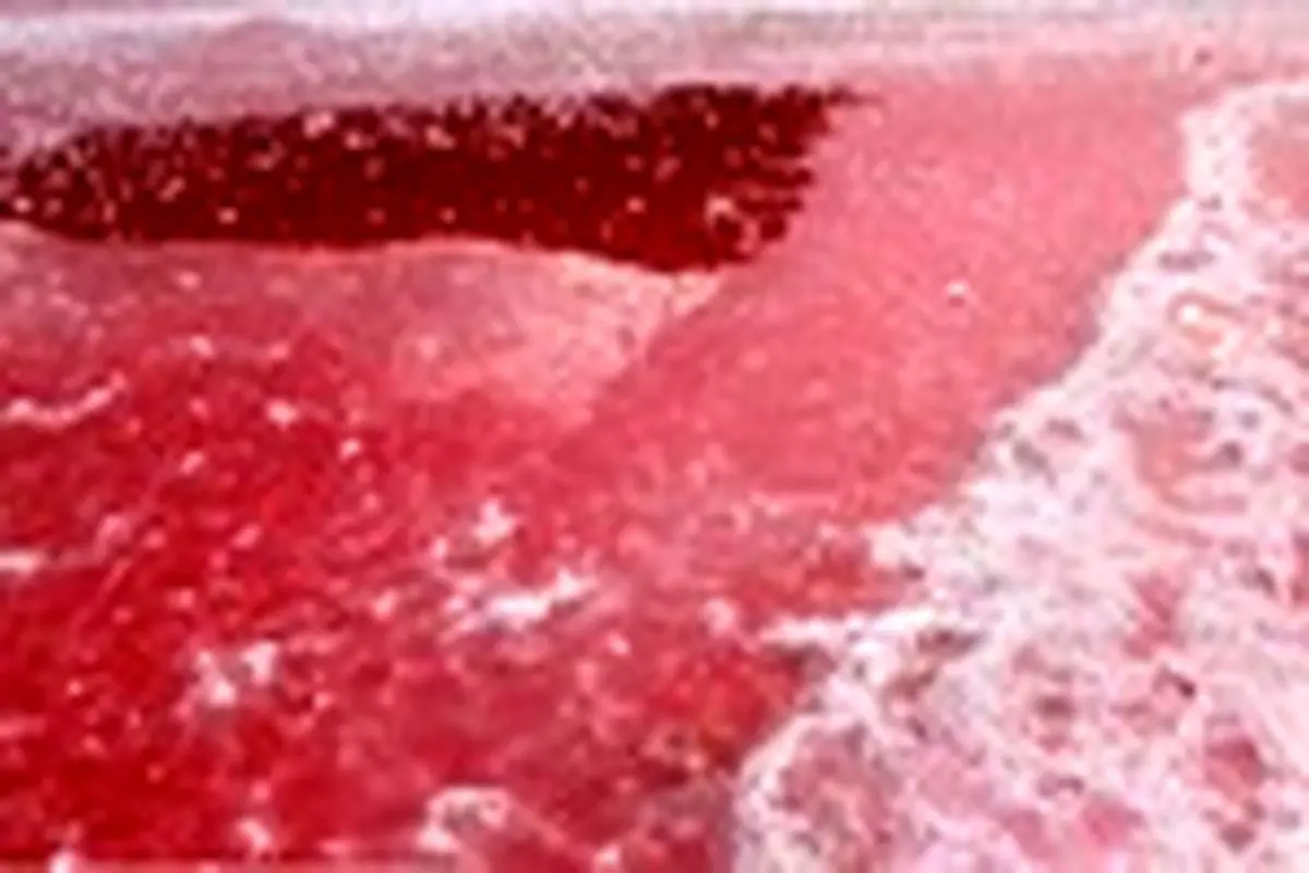 دریاچه قرمز رنگ مَهارلو