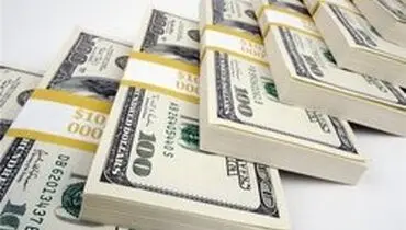 دستگیری ۳۰ سرشبکه دلالان ارزی در پایتخت