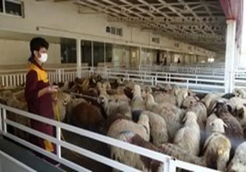 تبدیل «خانه انیس الدوله» به اتحادیه گوشت گوسفندی!