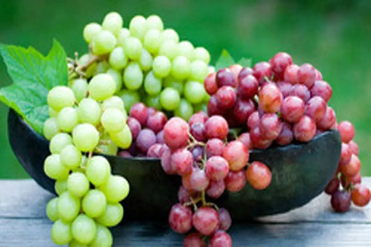 خواص شگفت انگیز انگور برای سلامتی
