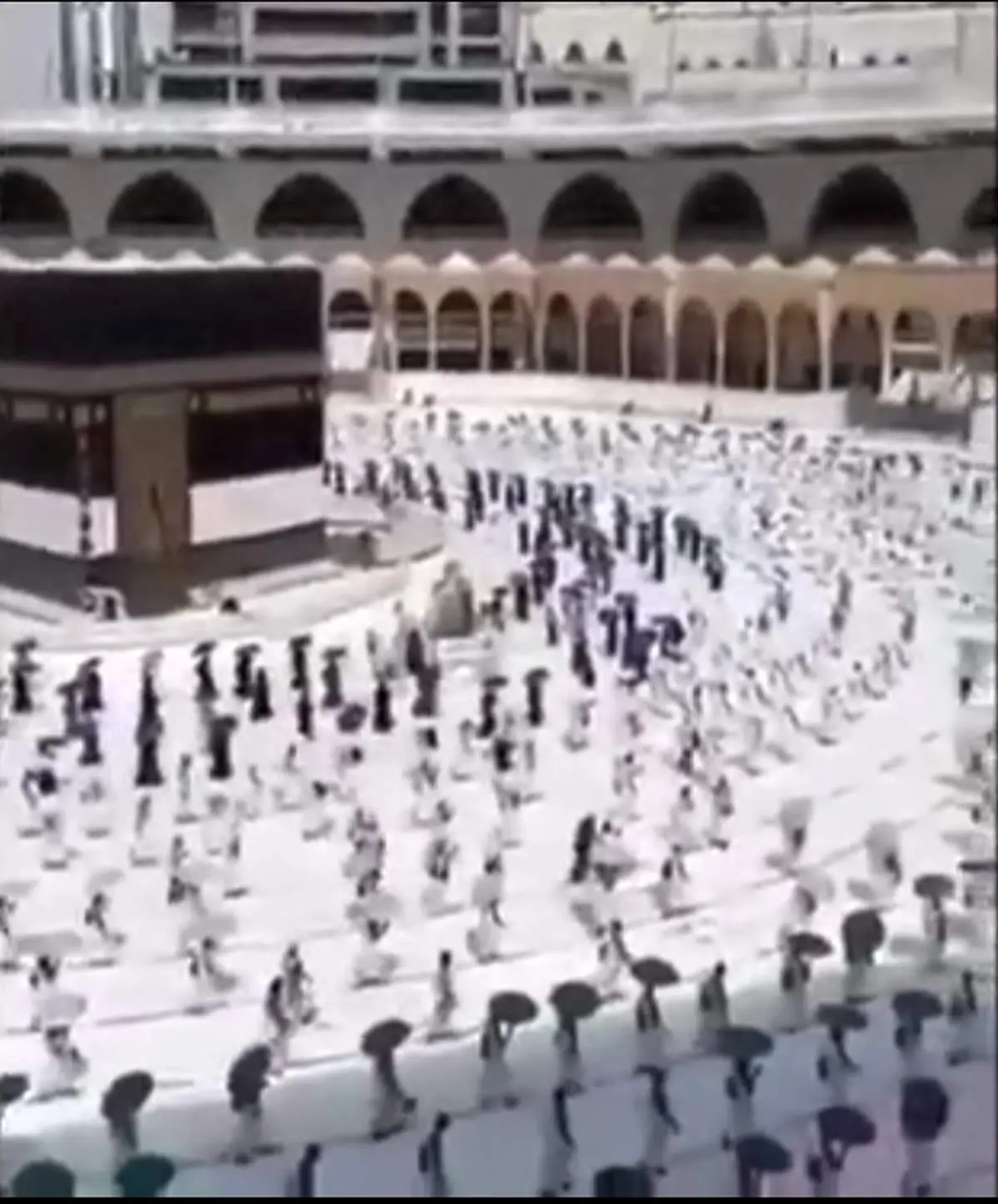 حج متفاوت ۱۴۴۱ + فیلم