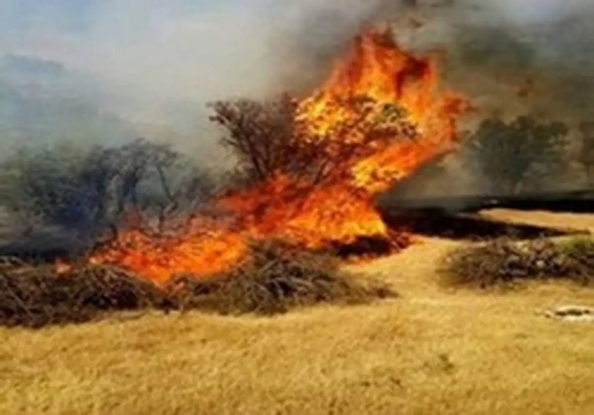 دستگیری عوامل آتش سوزی مراتع کوهدشت لرستان