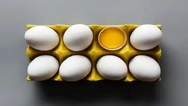 نبی پور: بازار تخم مرغ تعریفی ندارد؛ تولید تخم مرغ به یک میلیون و ۱۰۰ هزار تن می‌رسد