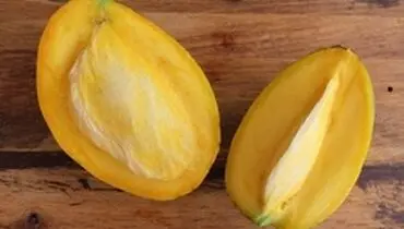 هسته انبه و دانستنی‌هایی درباره آن