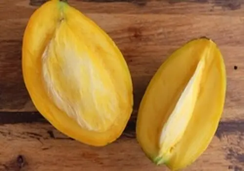 با شروع گرما از انبه غافل نشوید! / کور طبیعی بدن را بشناسید