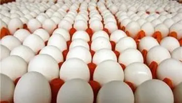 عوارض صادراتی تخم مرغ ۴۰۰۰ تومان تعیین شد