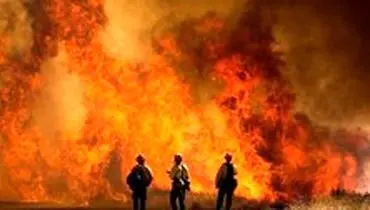 آتشسوزی مهیب در کالیفرنیا و ترک خانه ۸۰۰۰ نفر + فیلم