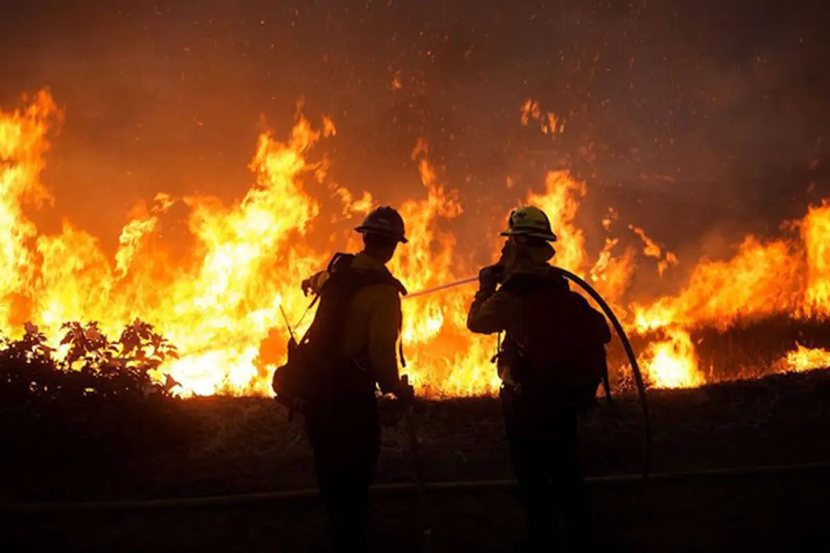 آتش به جان جنگل‌های جنوب کالیفرنیا + فیلم