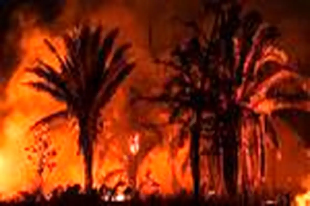 آتش سوزی در جنگل‌های آمازون به روایت تصویر