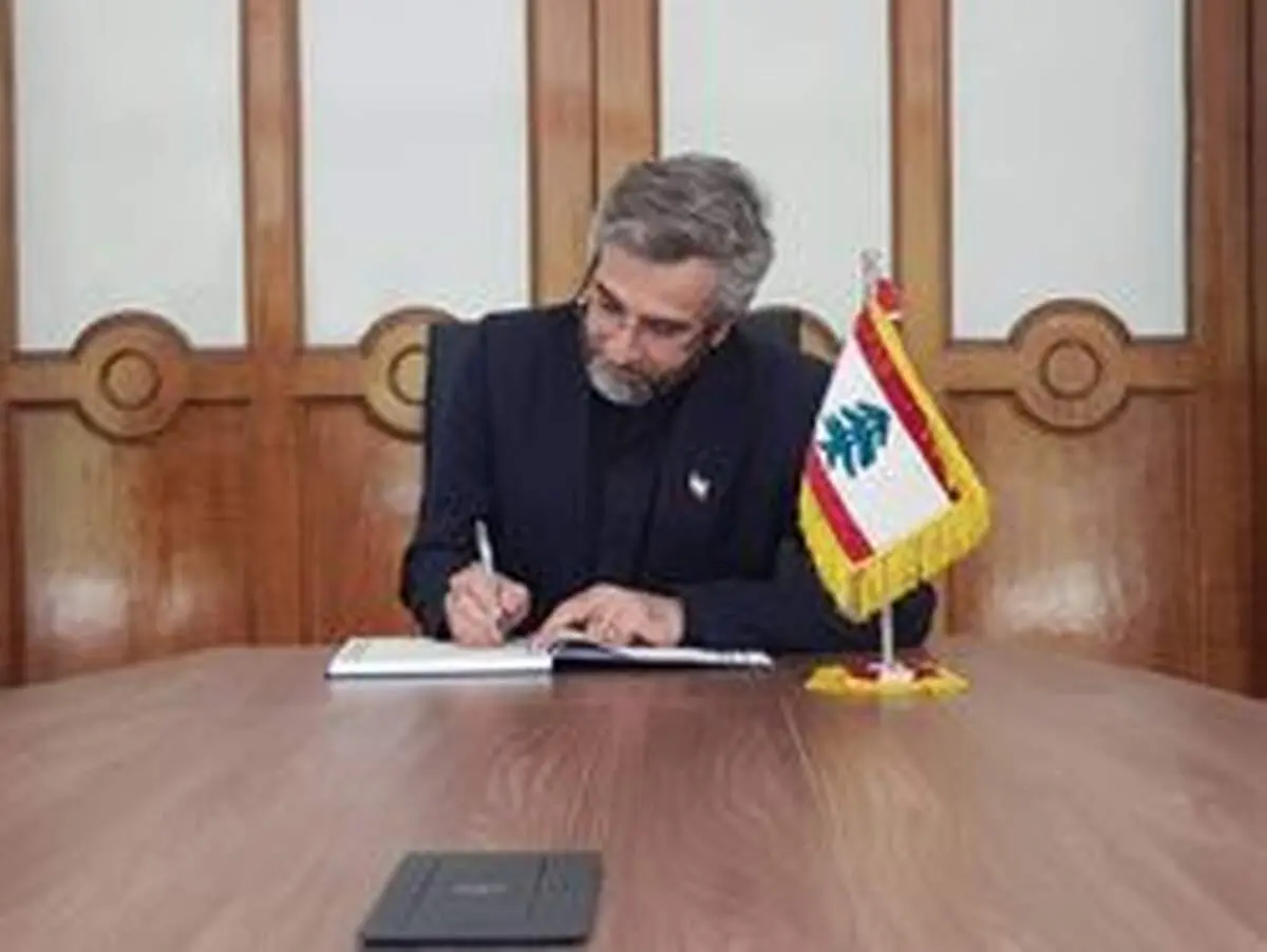 باقری: شیرمردان عرصه مقاومت، گرگ تحریم را به زانو درخواهند آورد