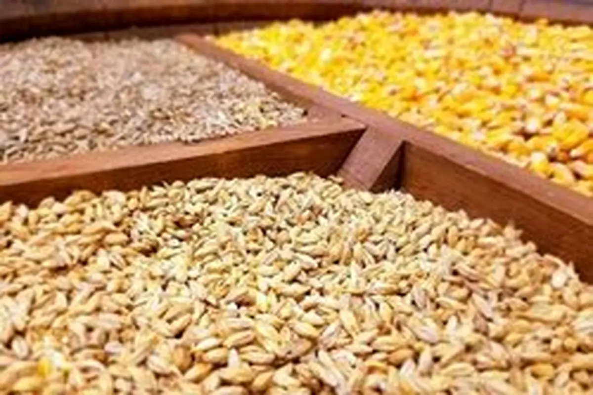 واردکنندگان نهادههای دامی خواستار رفع اشکالات بازارگاه شدند