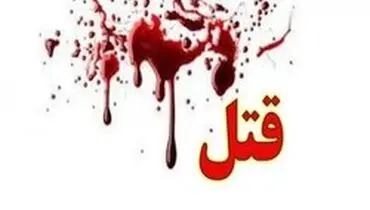 شب گذشته در پایتخت؛ دو تبعه لبنانی در گلستان یکم به قتل رسیدند