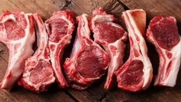 بابایی: گزارشی از شیوع تب کریمه کنگو در تهران نداریم؛ افراد توصیه‌ها را جدی بگیرند