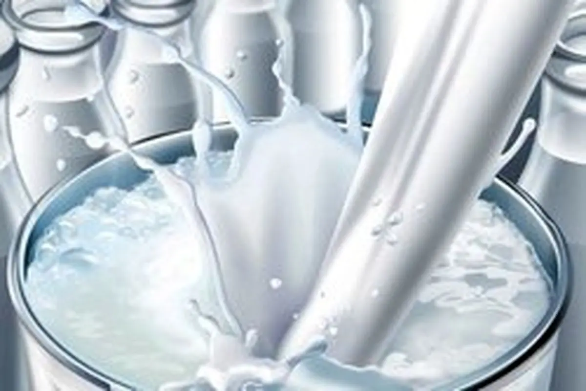 نرخ مصوب شیر خام در حال بررسی است