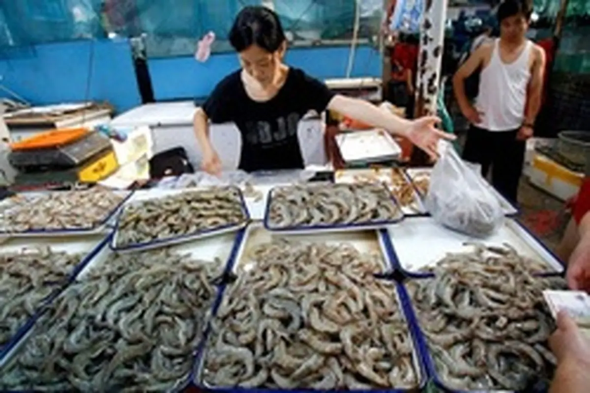 ویروس کرونا در غذا‌های دریایی وارداتی در چین کشف شد