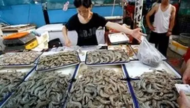 ویروس کرونا در غذا‌های دریایی وارداتی در چین کشف شد