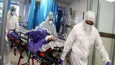 سازمان غذا و دارو: هیچ فرآورده طبیعی و سنتی برای درمان کرونا مجوز ندارد