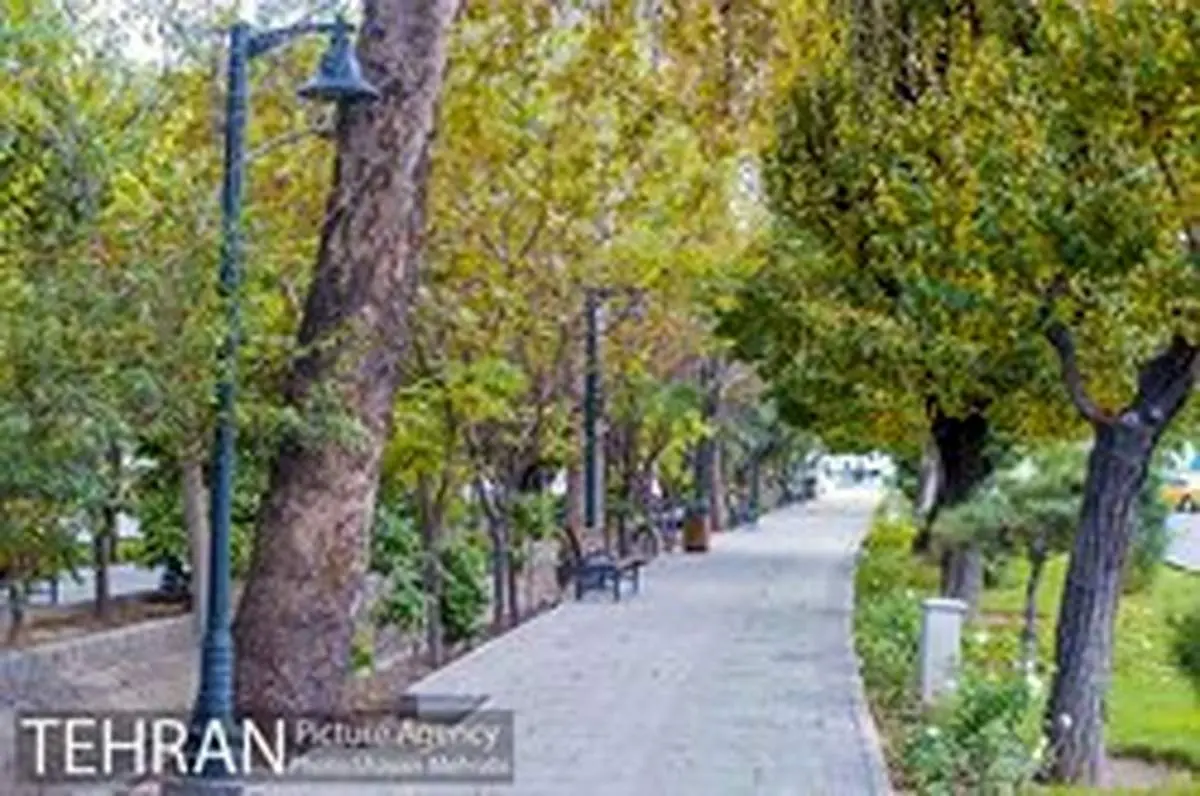 پیگرد و بازداشت مظنونان حادثه پارک لاله