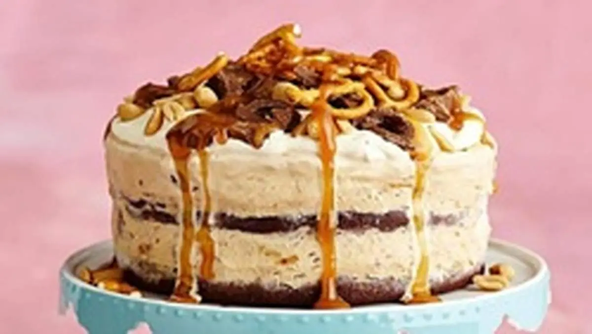 طرز تهیه انواع کیک بستنی مجلسی خانگی