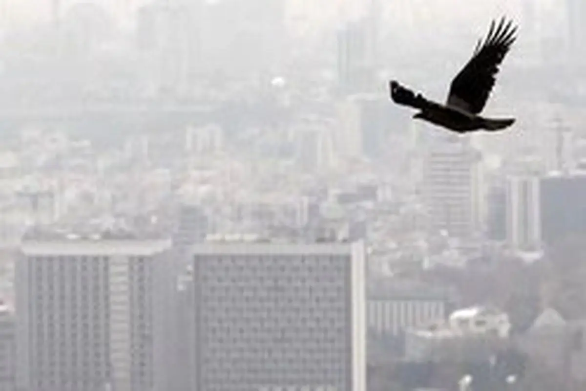 شرکت کنترل کیفیت هوای تهران اعلام کرد: هوای پایتخت در محدوده ناسالم قرار دارد