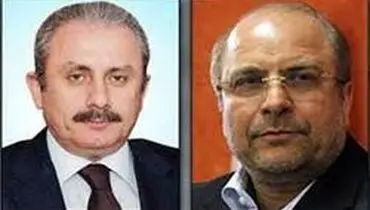 قالیباف: مصمم به تشکیل گروه دوستی پارلمانی ایران و ترکیه هستیم