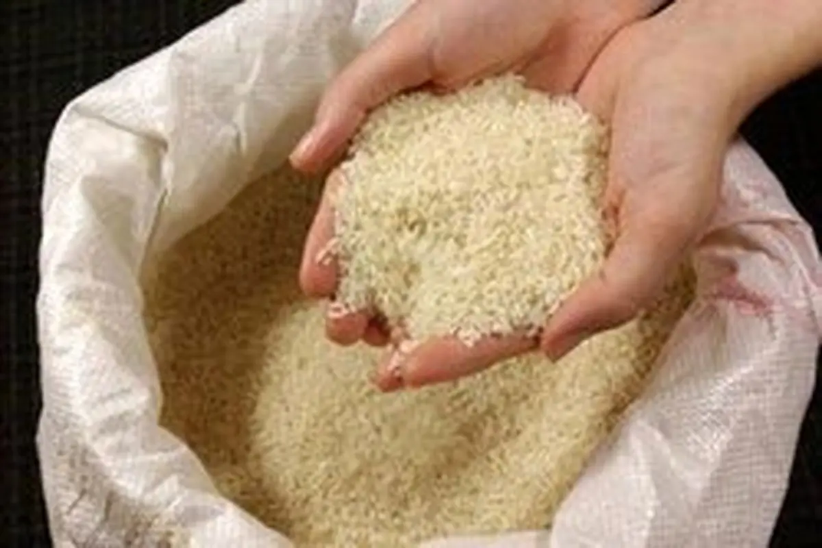 دبیر ستاد تنظیم بازار خبر داد؛ ترخیص ۸۰ هزار تن برنج تا پایان مرداد ماه از گمرک