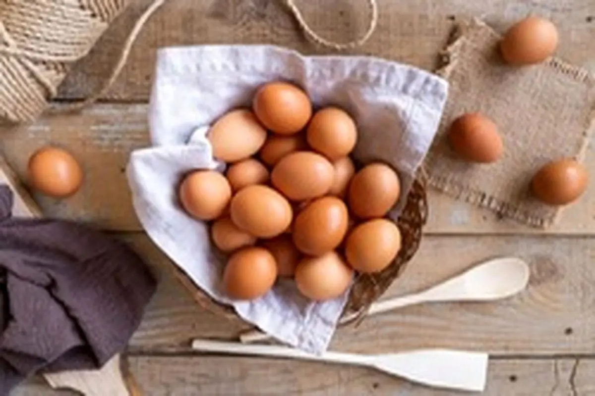 نبی پور: عرضه تخم‌مرغ کمتر از نرخ مصوب ستاد تنظیم بازار