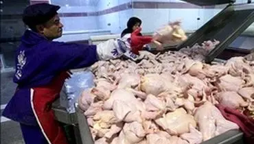 عرضه ۵ هزار تن مرغ در بازار با قیمت ۱۳ هزار و ۵۰۰ تومان