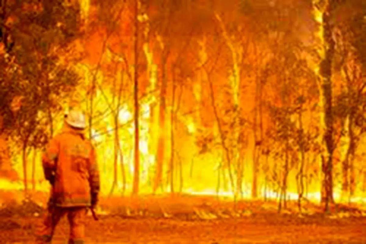 جنگل‌های جنوب فرانسه در آتش‌سوزی گسترده سوختند