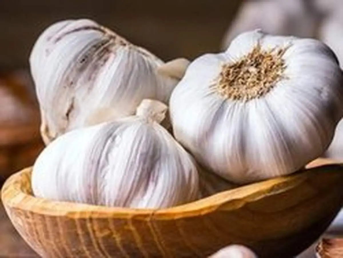 ۱۰ خاصیت معجزه آسای سیر برای کودکان