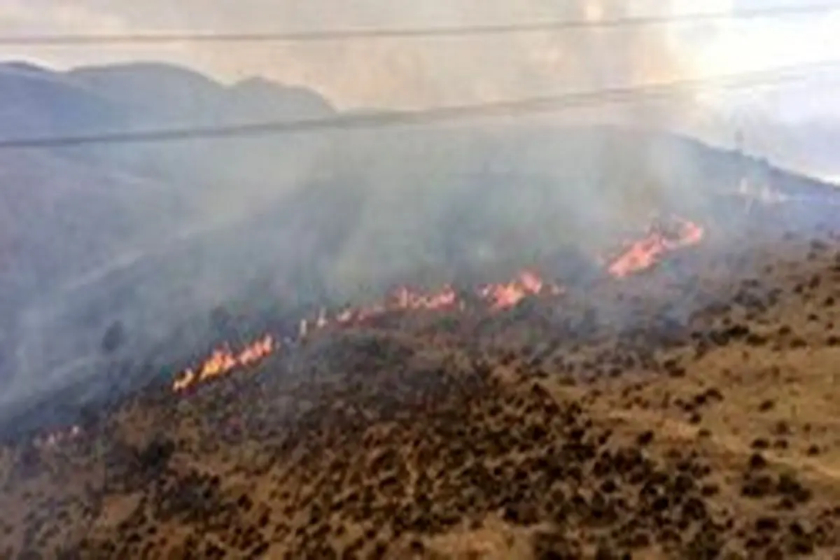 وقوع آتش‌سوزی در جنگل‌های «ملاوی» پلدختر