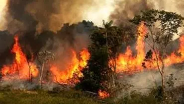 گسترش آتش‌سوزی پلدختر به‌سمت جنگل‌های بلوط؛ حریق طی ساعات آینده مهار می‌شود