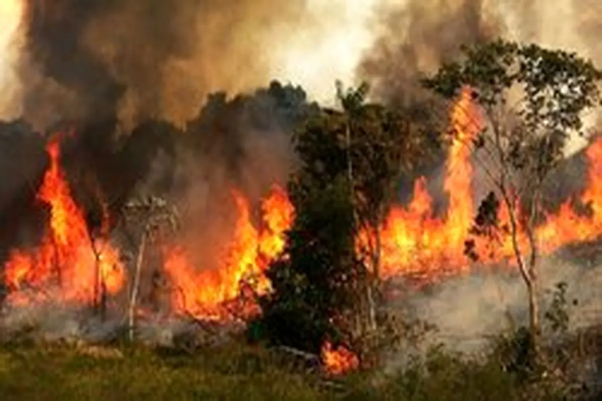 گسترش آتش‌سوزی پلدختر به‌سمت جنگل‌های بلوط؛ حریق طی ساعات آینده مهار می‌شود