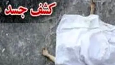 کشف بدن تکه تکه شده یک جوان در خزانه تهران / او را ۵ تکه کرده بودند