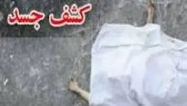 کشف بدن تکه تکه شده یک جوان در خزانه تهران / او را ۵ تکه کرده بودند